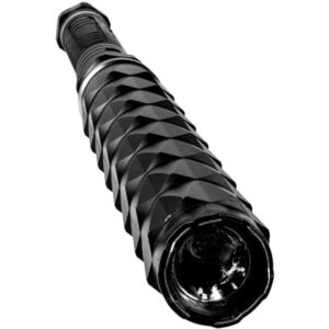 Flashlight/Stun Baton